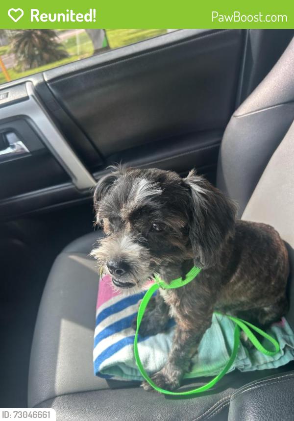 Reunited Female Dog last seen Cypresswood and Ella, Spring, TX 77388