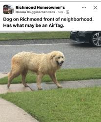 Found/Stray Unknown Dog last seen At the front of Richmond Subdivision, Mobile, AL 36695