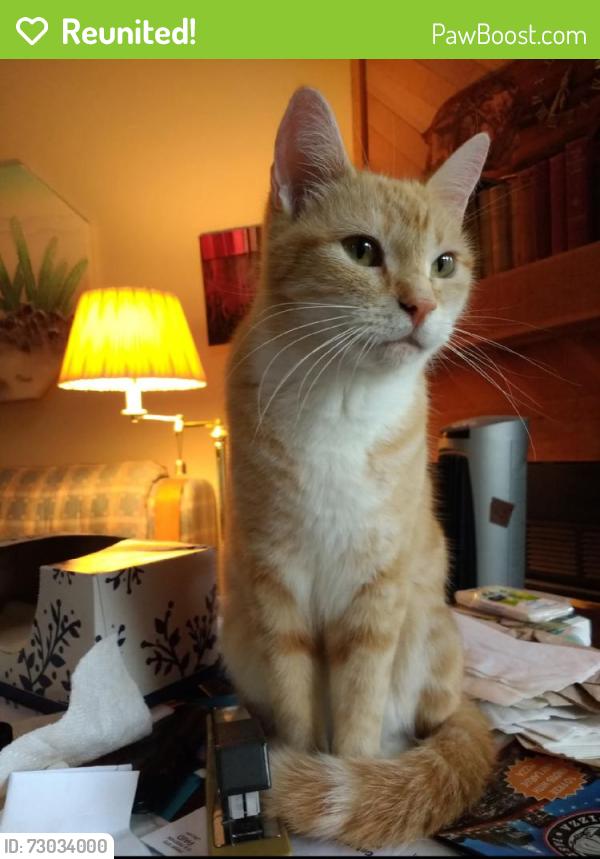 Reunited Female Cat last seen Near S Zeno St, Aurora, CO 80017, USA, Aurora, CO 80017