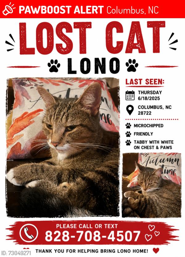 Lost Male Cat last seen Thorne ave Columbus nc, Columbus, NC 28722
