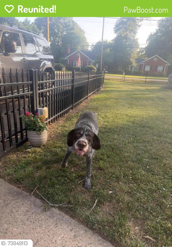 Reunited Male Dog last seen Union street s, lawndale , Concord, NC 28025