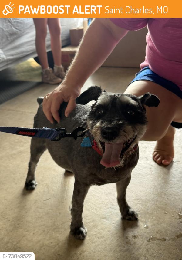 Found/Stray Male Dog last seen Graystone and Doris Walters, Saint Charles, MO 63303