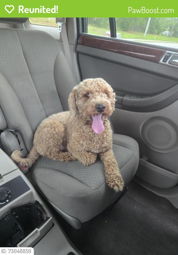 Reunited Unknown Dog last seen Jupiter and Weaver, Palm Bay, FL 32907
