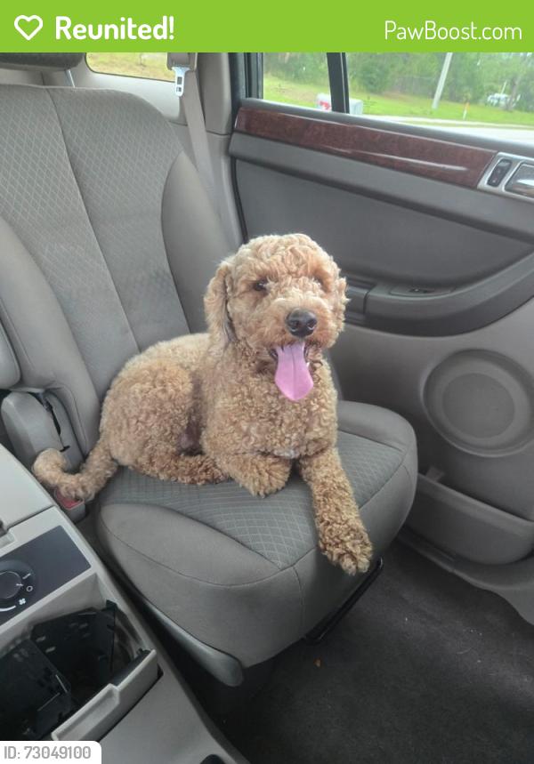 Reunited Unknown Dog last seen Intersection of Jupiter and Waylaid Ave, Palm Bay, FL 32908