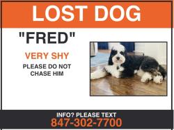 Lost Male Dog last seen Conway Farms, Lake Forest, IL 60045
