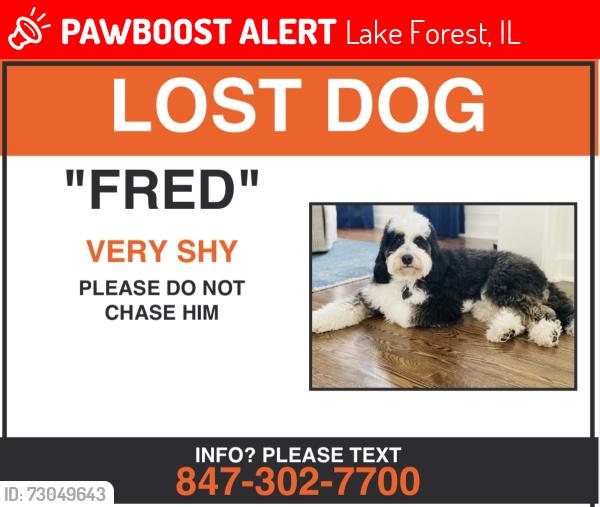 Lost Male Dog last seen Conway Farms, Lake Forest, IL 60045