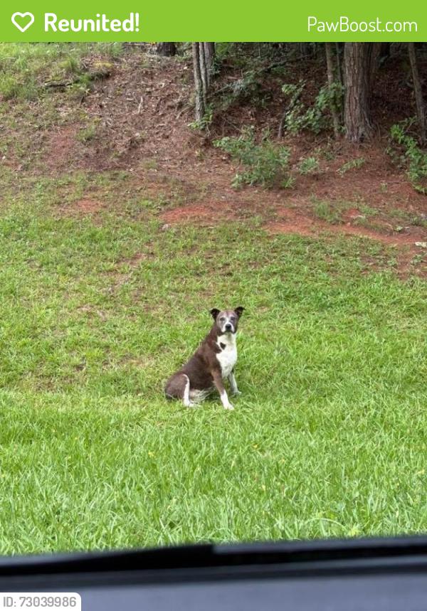 Reunited Female Dog last seen Across the street from 2520. , Brooks, GA 30205