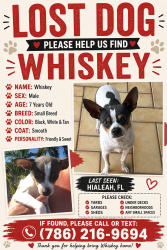 Lost Male Dog last seen East 42 street hialeah near Casa Marin , Hialeah, FL 33013