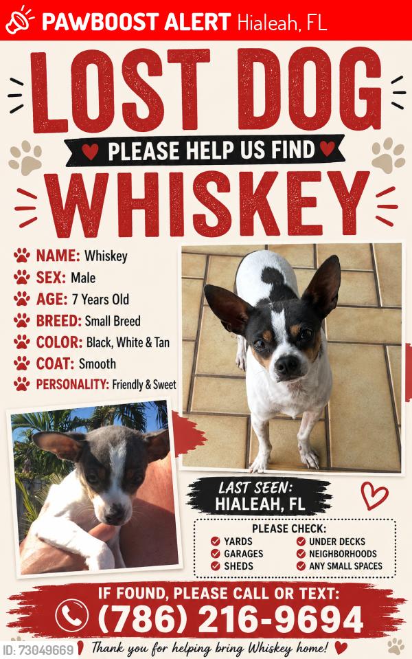 Lost Male Dog last seen East 42 street hialeah near Casa Marin , Hialeah, FL 33013
