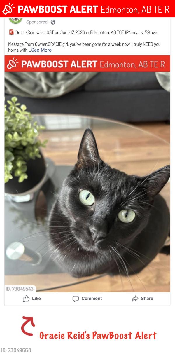 Lost Female Cat last seen Near St 79 Ave, Edmonton, AB T6E 1R4