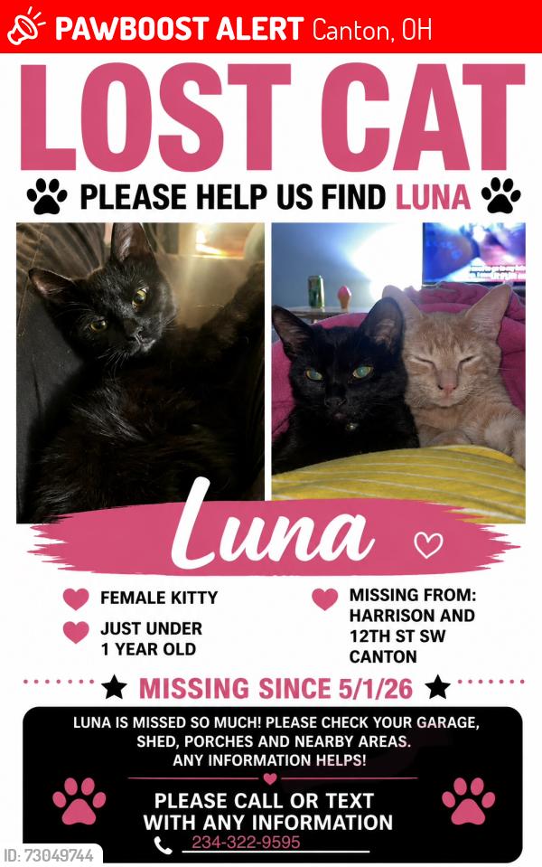 Lost Female Cat last seen Harrison Ave SW, Canton, OH 44706