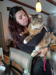 Lost Male Cat last seen School, Newark, DE 19713