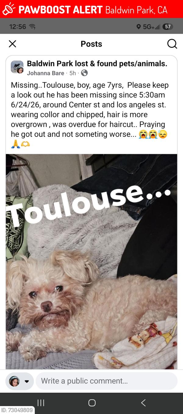 Lost Male Dog last seen Los angeles st ans Center st., Baldwin Park, CA 91706