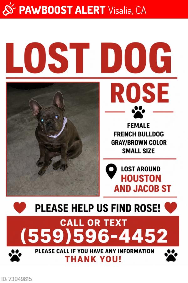 Lost Female Dog last seen Houston and Jacob st, Visalia, CA 93291