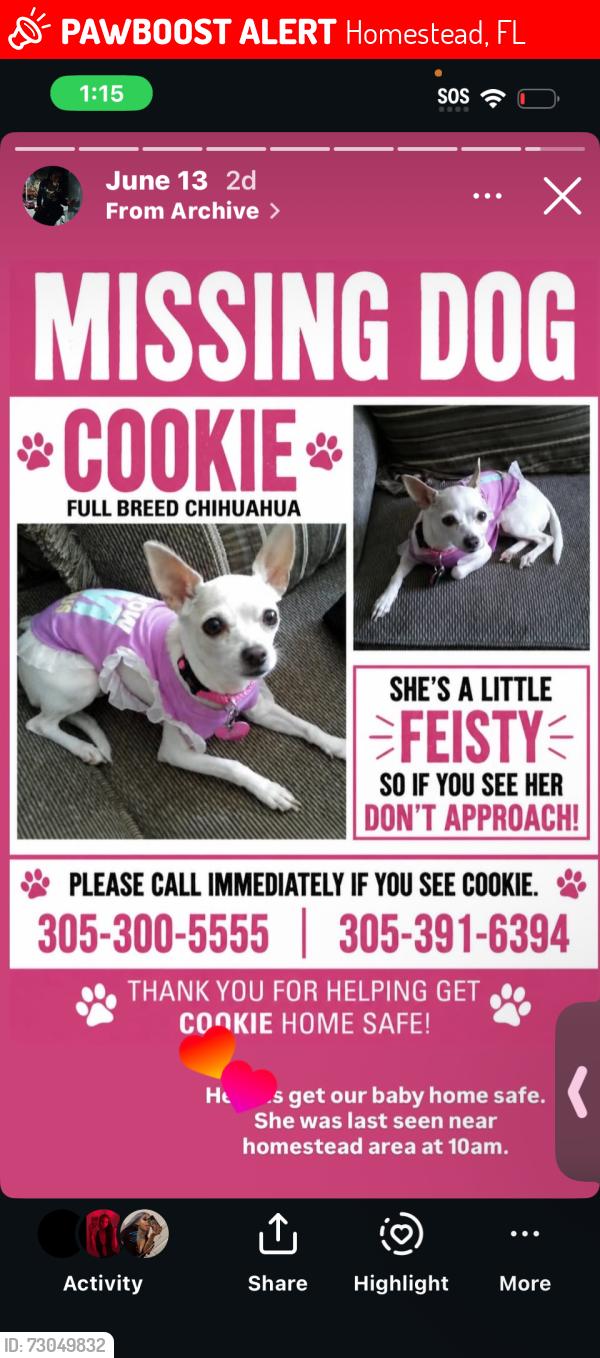 Lost Female Dog last seen Near home, Homestead, FL 33035