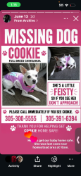 Lost Female Dog last seen Near home, Homestead, FL 33035