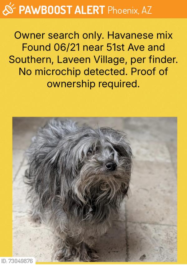 Found/Stray Unknown Dog last seen 51st Ave and Southern, Phoenix, AZ 85339