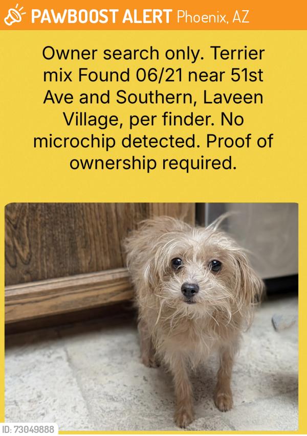 Found/Stray Unknown Dog last seen 51st Ave and Southern, Phoenix, AZ 85339