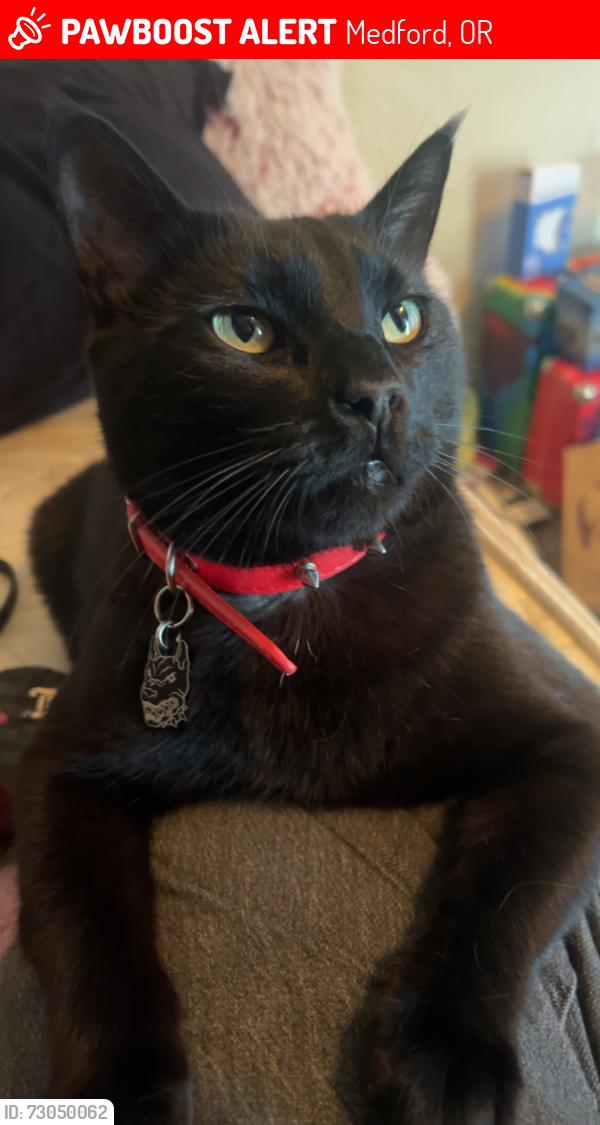 Lost Male Cat last seen W Main Street, Medford, OR 97501
