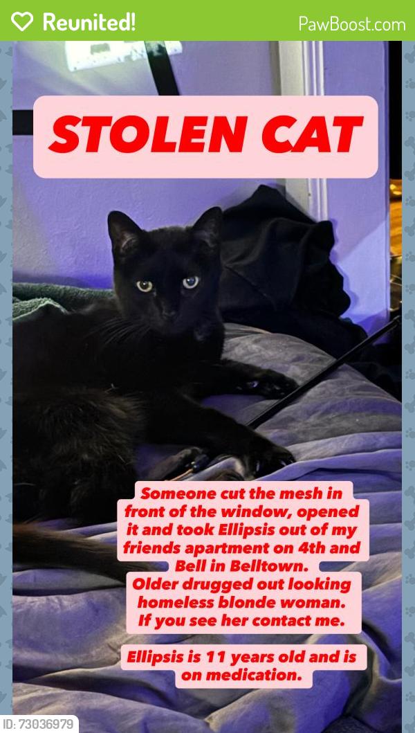Reunited Male Cat last seen 4th and Bell, Seattle, WA 98121