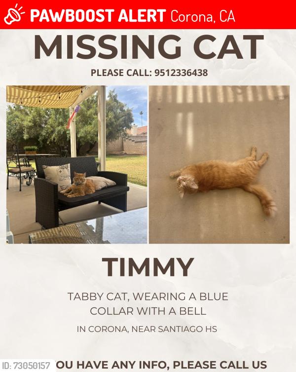 Lost Male Cat last seen rimpau and madison , Corona, CA 92881