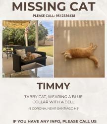 Lost Male Cat last seen rimpau and madison , Corona, CA 92881