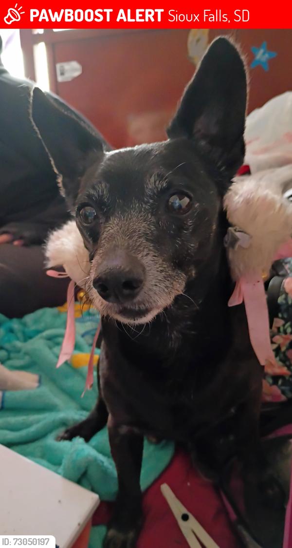 Lost Male Dog last seen Great plains zoo sf sd, Sioux Falls, SD 57104