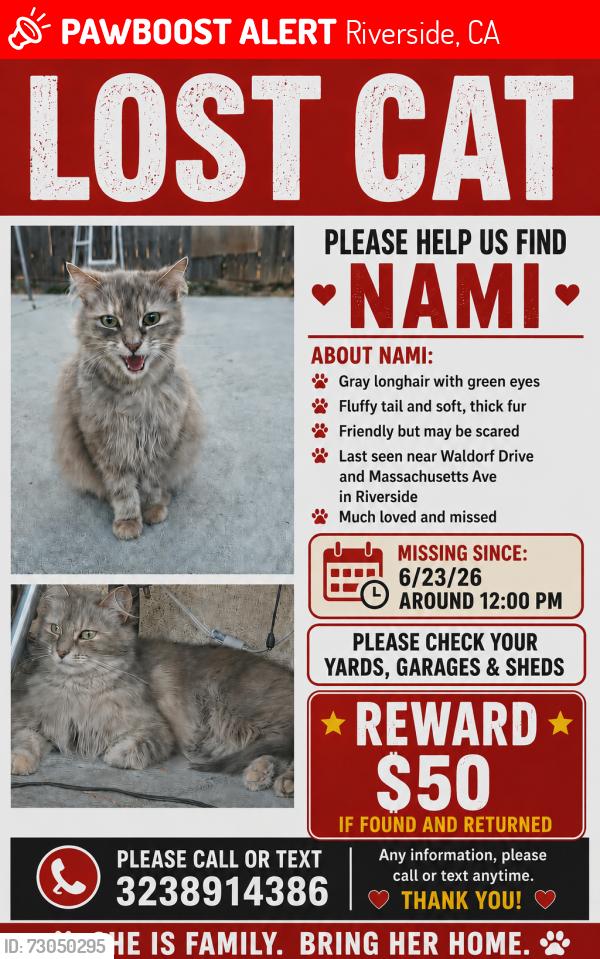 Lost Female Cat last seen Waldorf Dr - Massachusetts Ave, Riverside, CA 92507