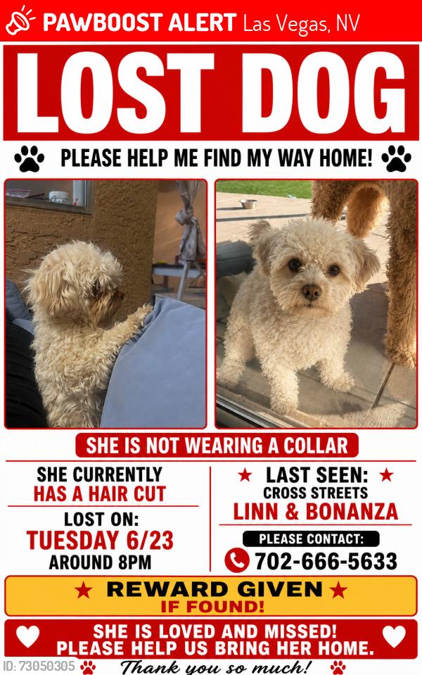 Lost Female Dog last seen Linn lane and bonanza, Las Vegas, NV 89110