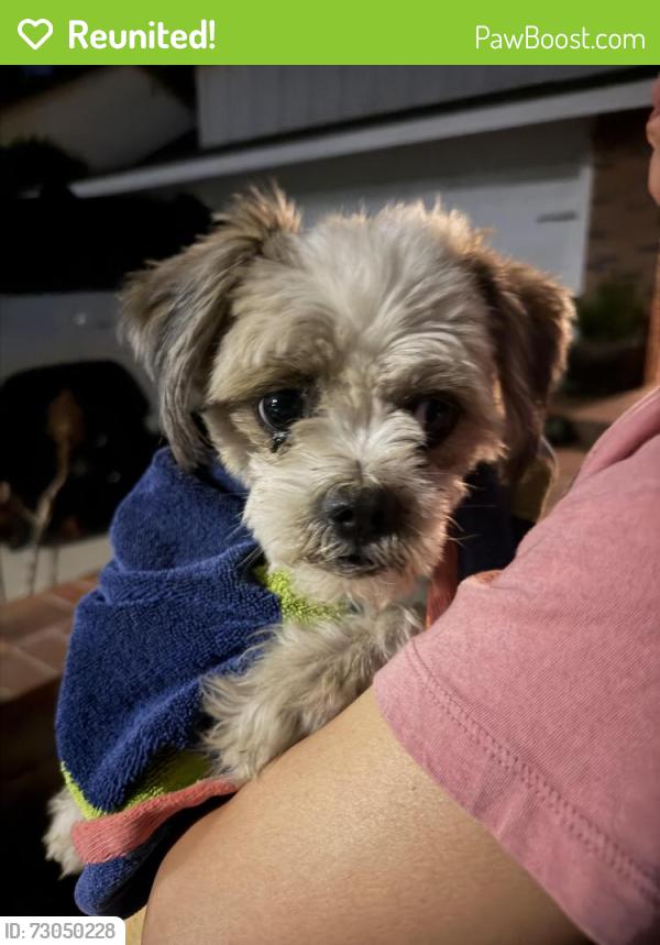 Reunited Unknown Dog last seen La Puente Road, Walnut, CA, Walnut, CA 91789