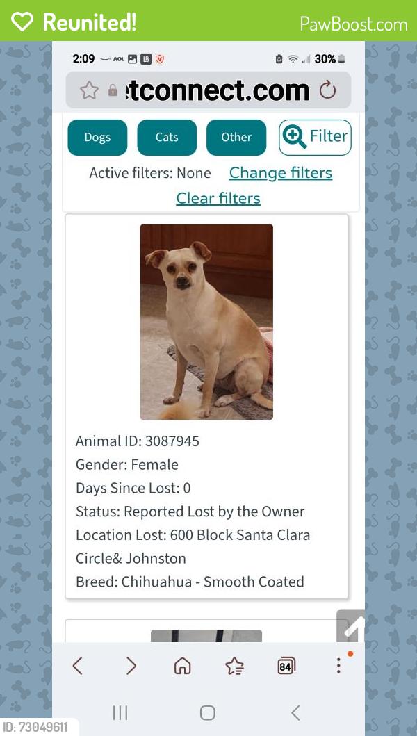 Reunited Female Dog last seen Camino del sol & johnston, Hemet, CA 92543