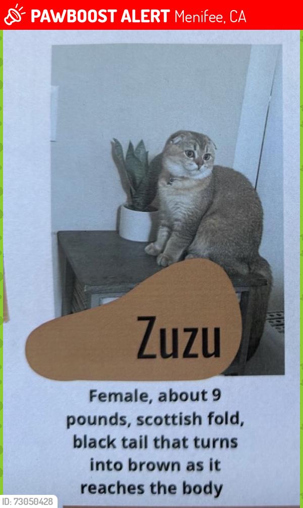 Lost Female Cat last seen Murrieta street, Menifee, CA 92584