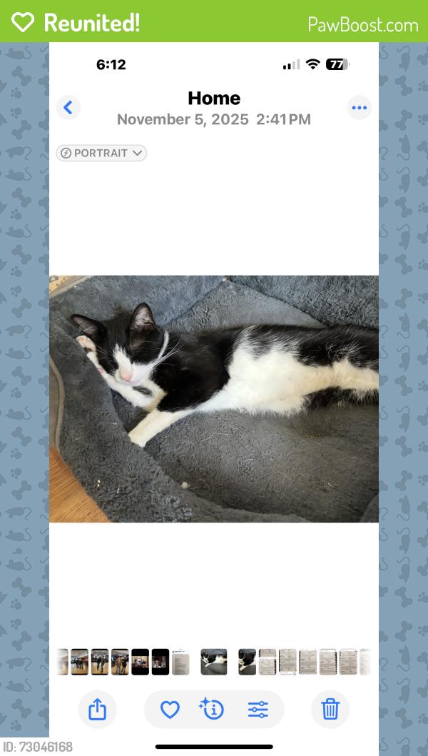 Reunited Male Cat last seen Pewaukee and Morey, Waukesha, WI 53188