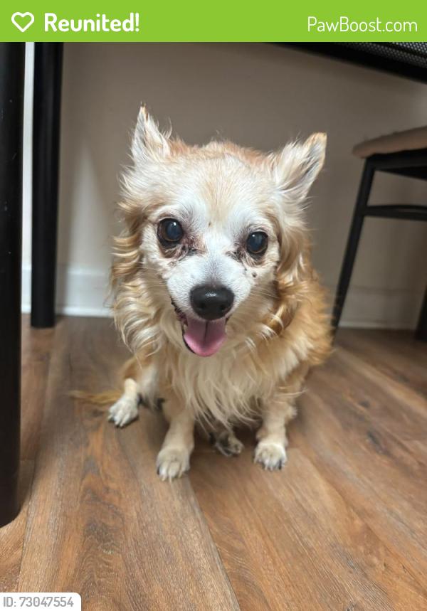 Reunited Male Dog last seen Canals st se, Washington, DC 20024