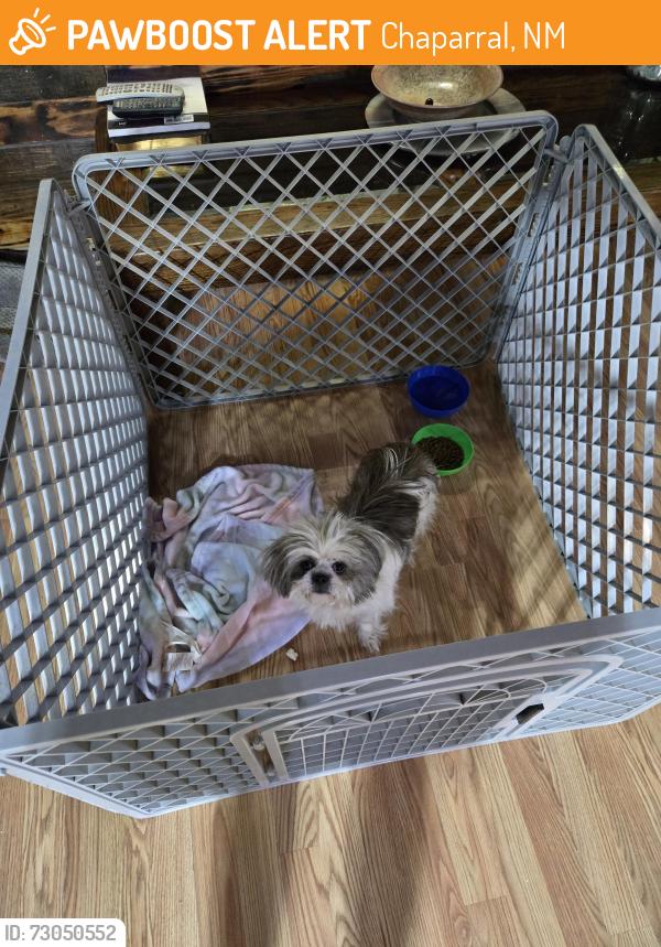 Found/Stray Female Dog last seen De Lara ests, Chaparral, NM 88081