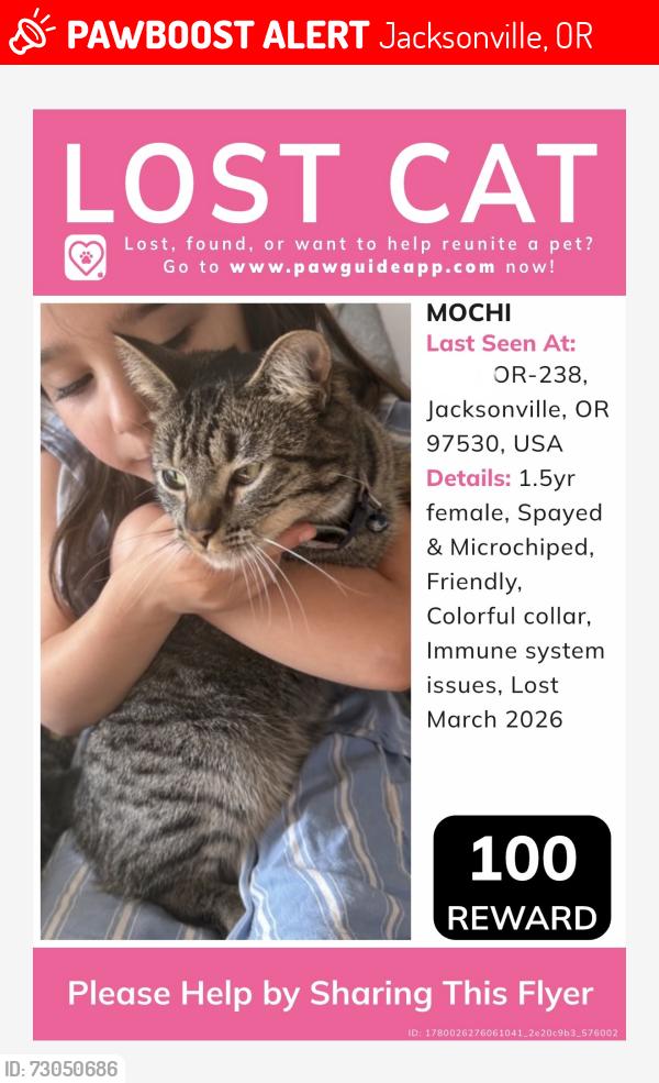 Lost Female Cat last seen Ruch Country store on Hwy 238, Jacksonville, OR 97530