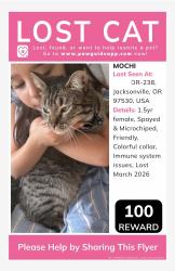Lost Female Cat last seen Ruch Country store on Hwy 238, Jacksonville, OR 97530