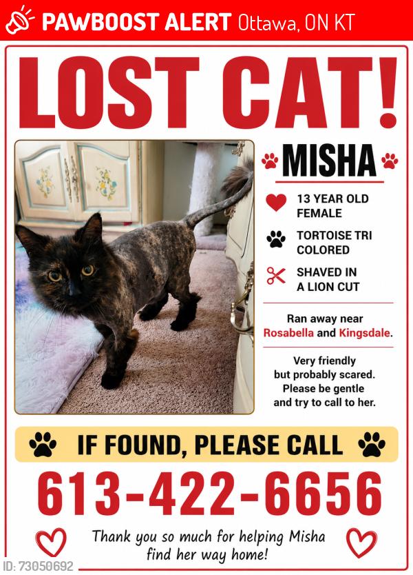 Lost Female Cat last seen Kingsdale and rosabella , Ottawa, ON K1T