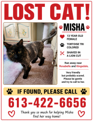 Lost Female Cat last seen Kingsdale and rosabella , Ottawa, ON K1T