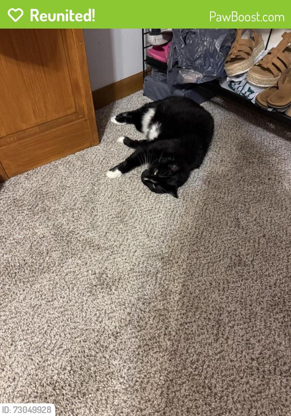 Reunited Female Cat last seen Bonita ct. , Fayetteville, NC 28314