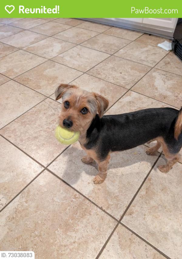 Reunited Male Dog last seen Haw Creek Park, Cumming, GA 30041