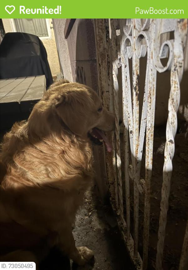 Reunited Male Dog last seen South Gate Park/ Annetta & Michigan, South Gate, CA 90280