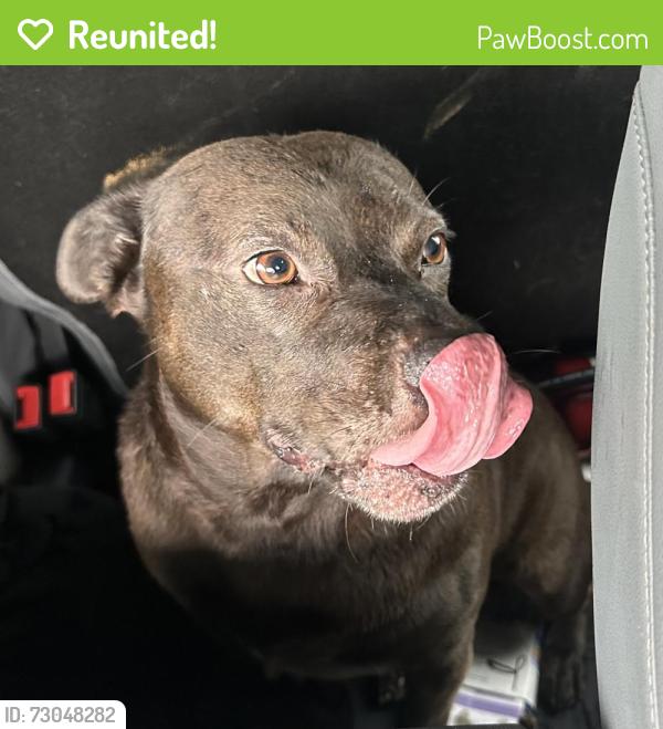 Reunited Unknown Dog last seen Port Saint Lucie, Port St. Lucie, FL 34986