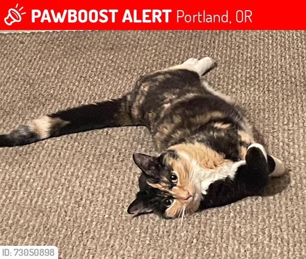 Lost Female Cat last seen SE 77th ave and Mill St., Portland, OR 97215