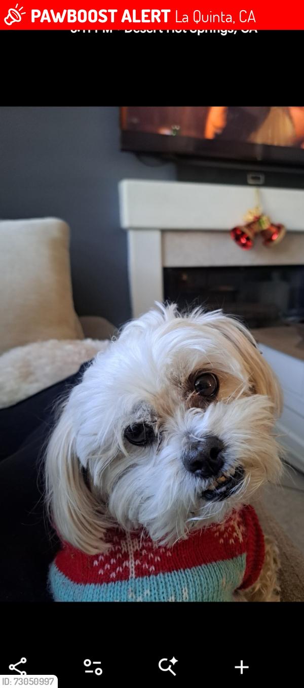 Lost Female Dog last seen Ave 52 fitz burns park, La Quinta, CA 92253