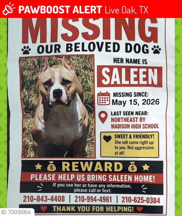 Lost Female Dog last seen Forest Pass Ct, Live Oak, TX 78233