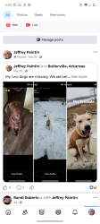 Lost Male Dog last seen Hickey plans express, Ward, AR 72176