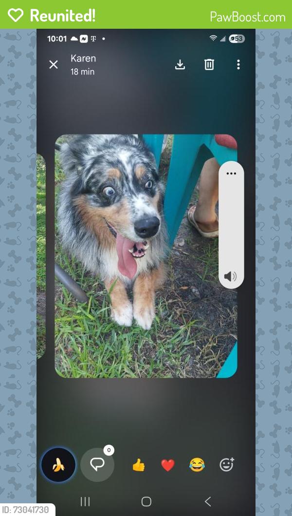 Reunited Unknown Dog last seen Midway and sunset, Fort Pierce, FL 34982