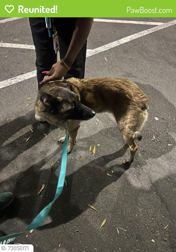 Reunited Female Dog last seen Redwood Day School, Oakland, CA 94602
