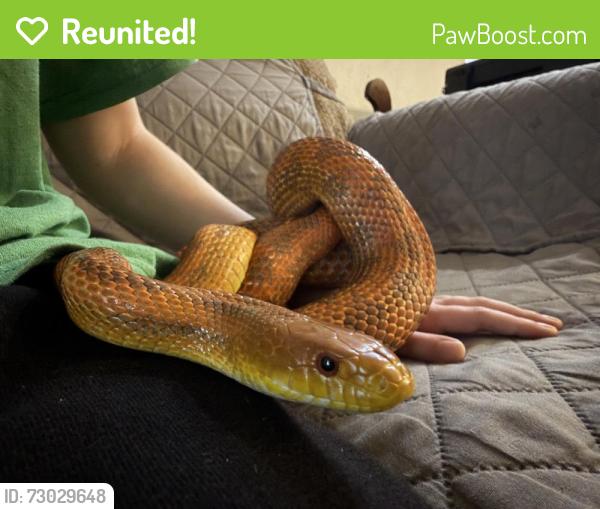 Reunited Female Other last seen Deer Run Dr, Bithlo, FL 32820, USA, Bithlo, FL 32820